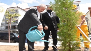 15 Temmuz şehitlerinin isimleri Amasya'da hatıra ormanında yaşatılacak