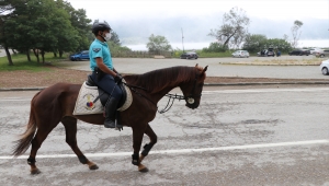 Abant'ta atlı tim göreve başladı