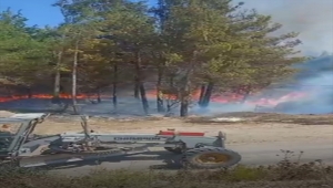 Adana'da çıkan orman yangınına müdahale ediliyor
