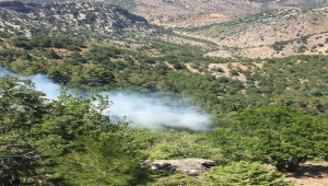 Adana Kozan'da çıkan orman yangını kontrol altına alındı