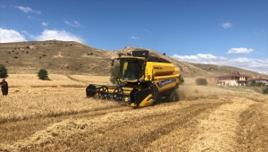 AK Parti Genel Başkanvekili Binali Yıldırım biçerdöver ile hasat yaptı: