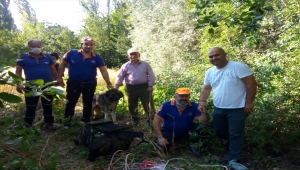 Amasya'da kuyuya düşen köpeği AFAD ekipleri kurtardı