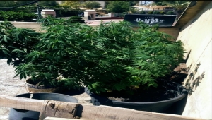 Antalya'daki uyuşturucu operasyonunda bir şüpheli yakalandı