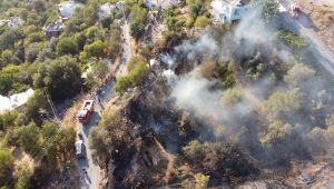 Antalya'nın Gazipaşa ilçesinde çıkan yangında 6 dönüm alan zarar gördü
