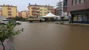 Arhavi'de sağanağın ardından iki mahalleyi su bastı 