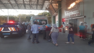 Aydın'da devrilen otomobildeki 4 kişi yaralandı