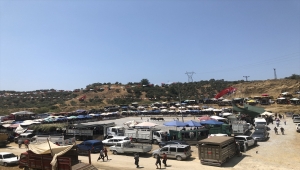 Aydın'da Germencik 6. Geleneksel Boğa Güreşi Festivali yapıldı