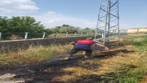 Bingöl'de leyleğin elektrik akımına kapılmasıyla çıkan yangın söndürüldü
