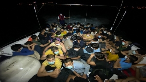Bodrum'da 63 göçmen yakalandı