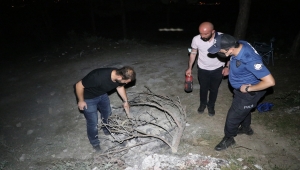 Bolu'da polis ormanlık alandaki piknik ateşini yangın söndürme tüpüyle söndürdü
