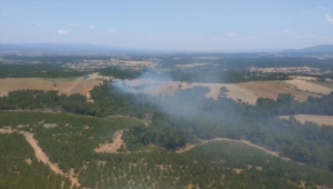 Çanakkale'nin Ezine ilçesindeki ormanlık alanda çıkan yangına müdahale ediliyor