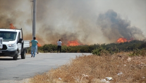 Didim'de makilik alanda yangın çıktı