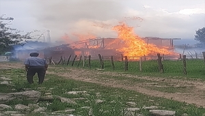 Düzce'de çıkan yangında hayvan besi çiftliği kullanılamaz hale geldi