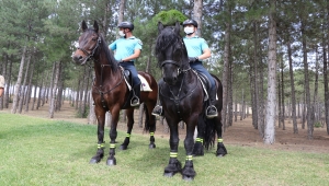 Elazığ'da atlı jandarma timi göreve başladı
