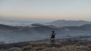 Elazığ'da çıkan örtü yangını kontrol altına alındı