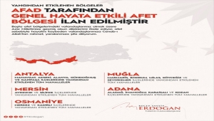 Erdoğan, orman yangınlarından etkilenen alanların "Genel Hayata Etkili Afet Bölgesi" ilan edildiğini bildirdi: