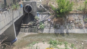 Esenyurt'ta dereye akan kirli sular ile atıklar, çevre sakinlerini rahatsız ediyor
