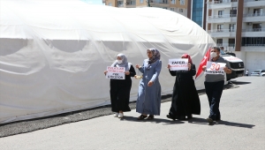 Evlatlarına kavuşan aileler sevincini HDP il binası önünde oturma eylemi yapan ailelerle paylaştı 