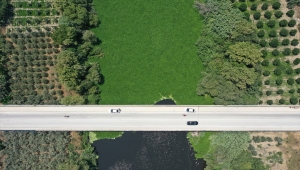 Evsel atıklar Asi Nehri'nde ekosisteme zarar veren su sümbüllerinin çoğalmasına neden oluyor 