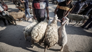 Gazzeliler kötüleşen ekonomik şartlara rağmen kurban kesebilmek için tüm imkanlarını zorluyor
