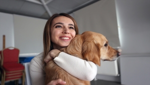Görme engelli öğretmen, rehber köpeği "Angel" ile artık daha özgürce dolaşabiliyor
