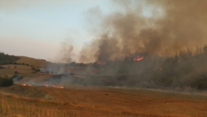 GÜNCELLEME 2 - Adana Aladağ'daki orman yangını iki ilçeye sıçradı