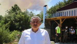 GÜNCELLEME 2 - Adana'daki orman yangınına havadan ve karadan müdahale sürüyor