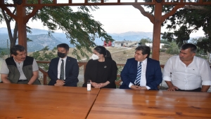 GÜNCELLEME 3 - Adana Kozan'daki orman yangınına müdahale sürüyor