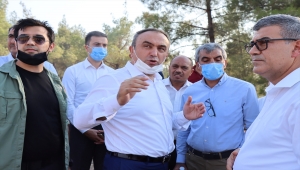 GÜNCELLEME 3 - Kilis'te çıkan orman yangını kontrol altına alındı