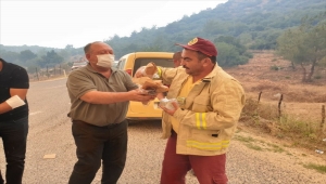 GÜNCELLEME 4 - Osmaniye'de çıkan orman yangınına müdahale sürüyor