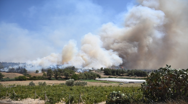 GÜNCELLEME - Adana Sarıçam'da çıkan orman yangını kontrol altına alındı 