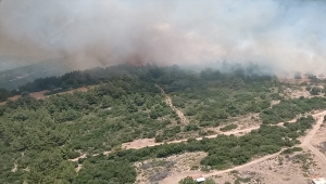 GÜNCELLEME - İzmir Karaburun'da makilik alanda çıkan yangın kontrol altına alındı