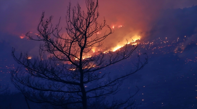 GÜNCELLEME - Osmaniye'deki orman yangınına müdahale ediliyor