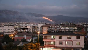 Hatay'da iki ilçede orman yangını çıktı