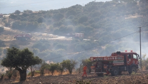 Hatay'da tarım arazisinde çıkan yangın kontrol altına alındı