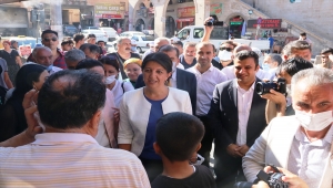 HDP Eş Genel Başkanı Buldan, Şanlıurfa'da konuştu: