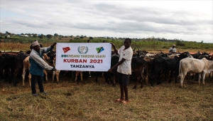 İHH, Tanzanya'da 200 büyükbaş kurban kesimi yaptı