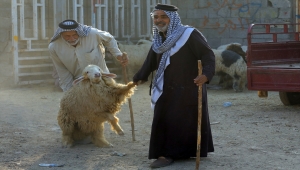 Irak'ta Kovid-19 ölümleri kurbanlık satışlarını artırdı