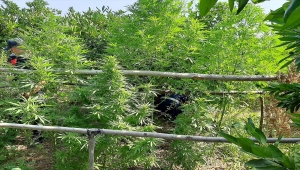 Kahramanmaraş'ta uyuşturucu operasyonlarında yakalanan 7 şüpheliden 1'i tutuklandı