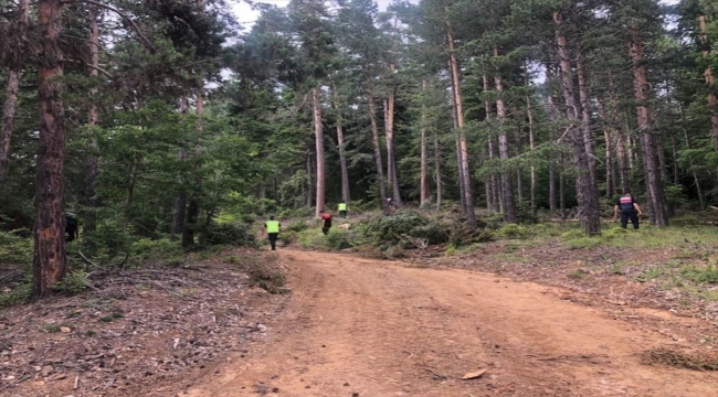 Karabük'te ormanlık alanda kaybolan down sendromlu genç kızı arama çalışmaları 9 gündür devam ediyor