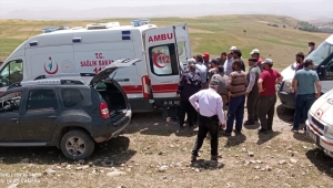 Kars'ta kestiği ağacın altında kalan kişi öldü