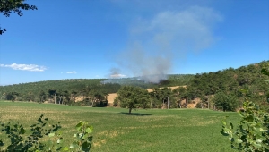 Kastamonu'da çıkan orman yangını söndürülmeye çalışılıyor