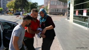 Kayseri'de "acemi kasaplar" hastanelik oldu!