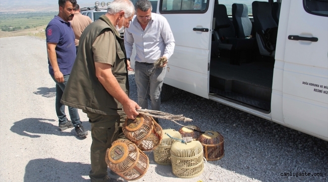Kayseri'de bir dükkanda kınalı keklik bulunduran esnafa para cezası verildi