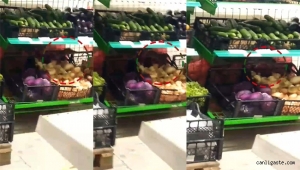 Kayseri'de zincir bir markette kedi büyüklüğünde fare!