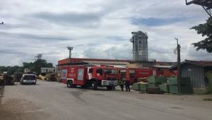 Kocaeli'de kereste fabrikasında çıkan yangın söndürüldü