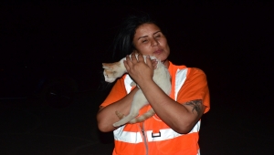 Manavgat'ta yangının yayılması nedeniyle bir mahalle daha boşaltıldı 