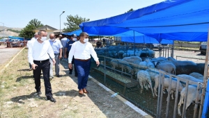 Marmara bölgesinde kara yollarında bayram yoğunluğu yaşanıyor