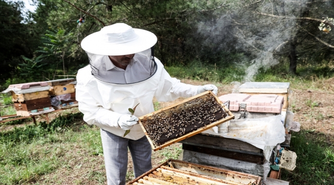 "Pandemide bal ve arı ürünlerine ilgi yüzde 300 arttı"