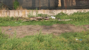 Sakarya'da toprağa gömülü ceset parçaları bulundu